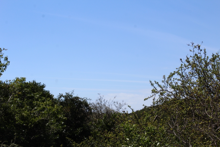 0 Bedroom Property for Sale in Begha Eastern Cape